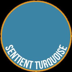 Vibrant turquoise circle design with orange border and bold SENTIENT TURQUOISE text.