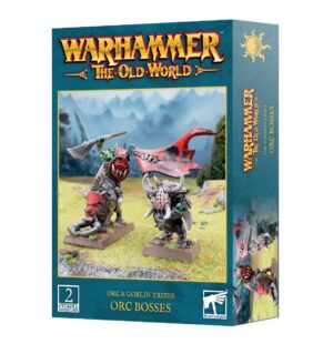 Vibrant Warhammer Orcs & Goblins box featuring two dynamic miniatures in scenic outdoor setting.